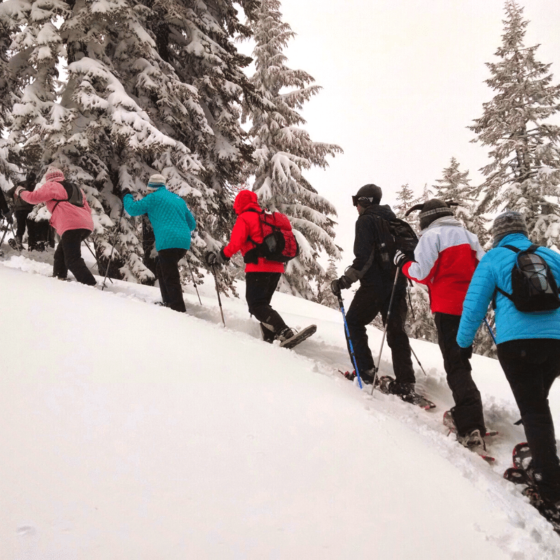 groupe utilisant des raquettes à neige