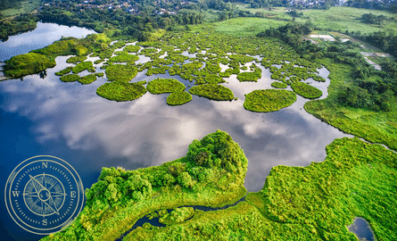 a lake with green wilderness with a compass icon