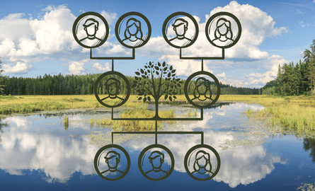 a Sudbury forest scene. a family tree outline.