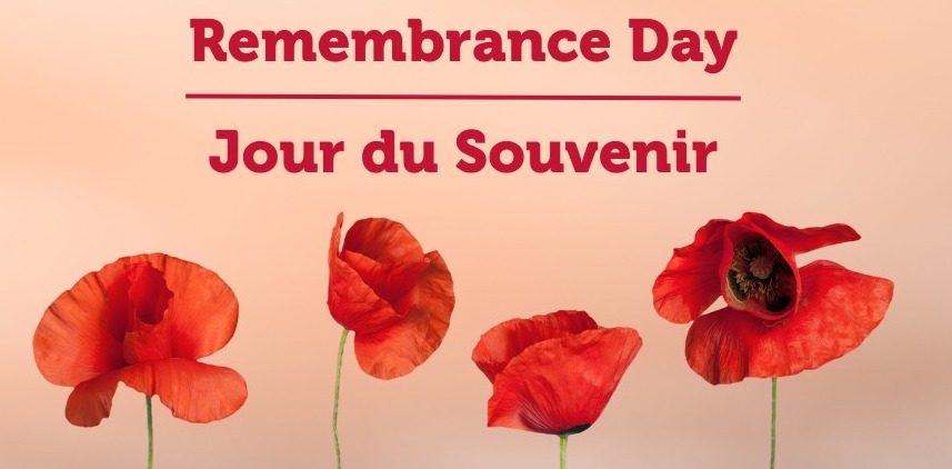 Four poppies on a beige background.