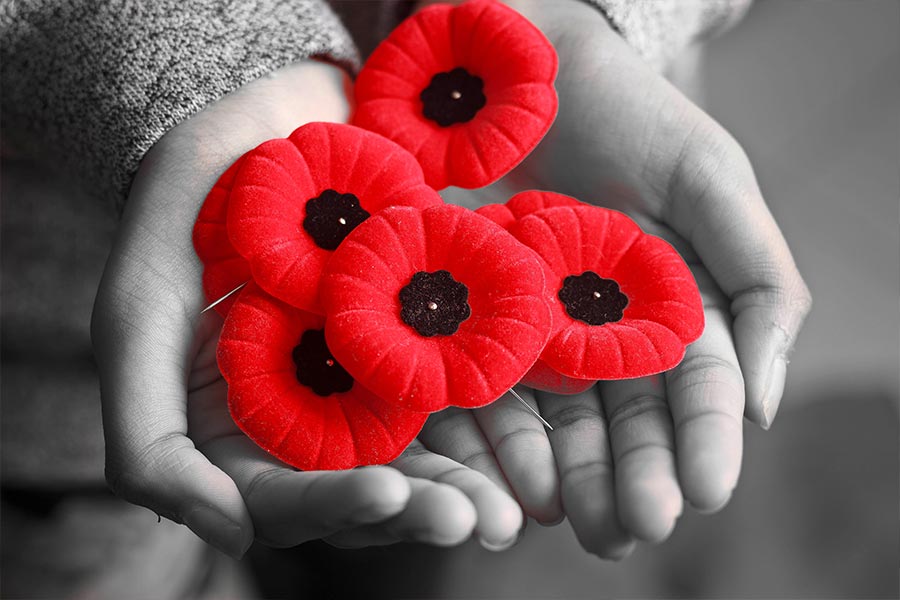 Two hands holding several poppies. 