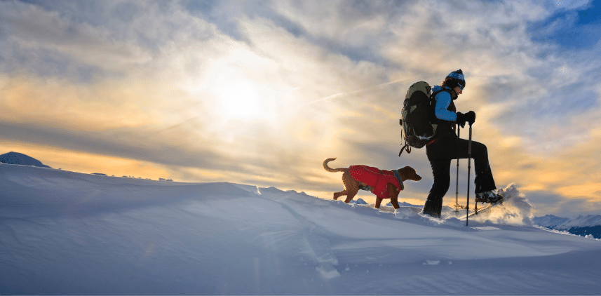adult with snowshoes, and dog